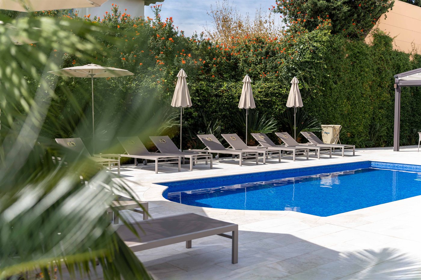 The pool and its loungers seen through palm fronds